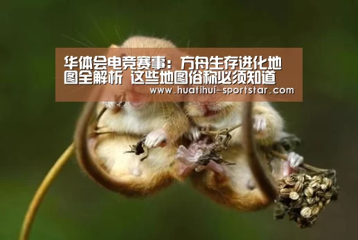 华体会电竞赛事