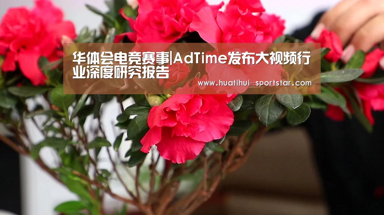 华体会电竞赛事|AdTime发布大视频行业深度研究报告(图3) 华体会电竞APP