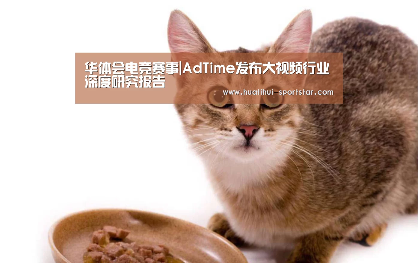 华体会电竞赛事|AdTime发布大视频行业深度研究报告(图4) 华体会电竞赛事
