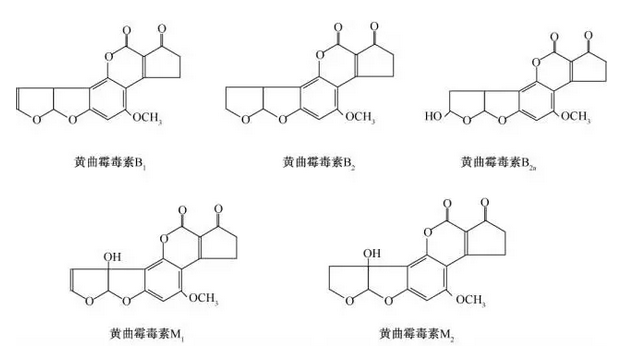 盛世长城上海斩获保时捷中国创意及数字传播业务-华体会电竞赛事(图3) 华体会电竞官网