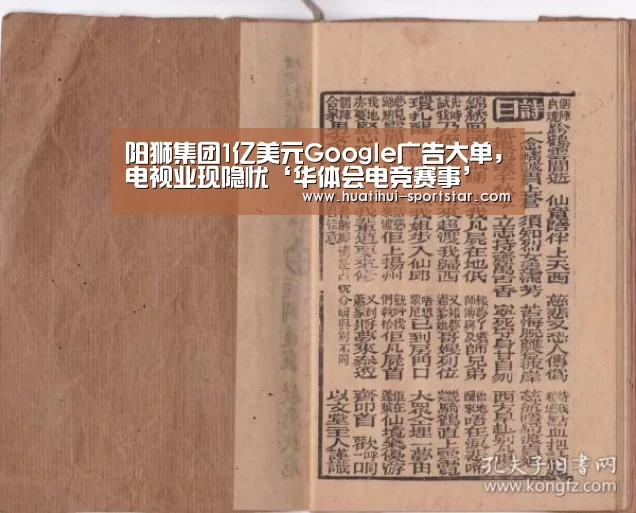 阳狮集团1亿美元Google广告大单,电视业现隐忧‘华体会电竞赛事’(图3) 华体会电竞赛事