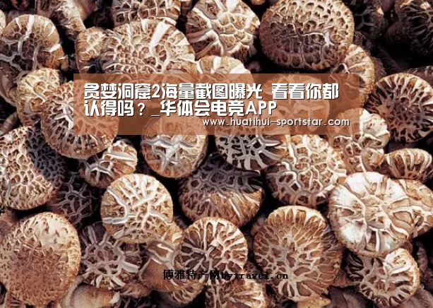 华体会电竞赛事